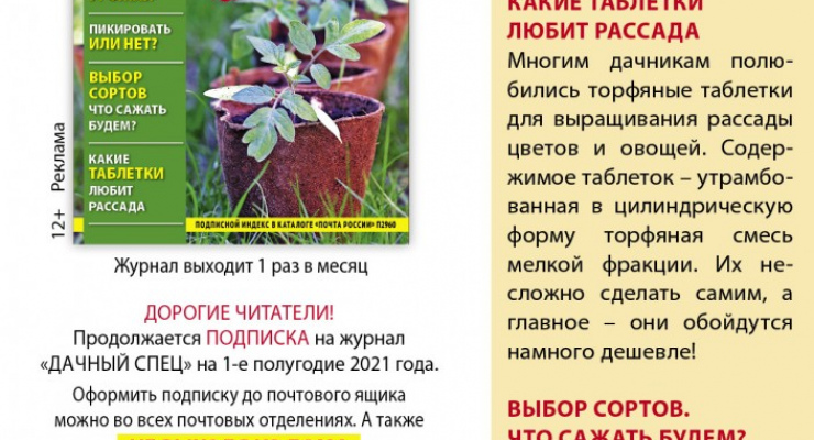 Анонс дачный спец №01